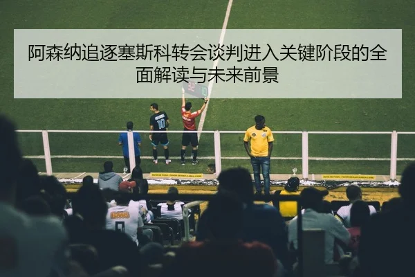 阿森纳追逐塞斯科转会谈判进入关键阶段的全面解读与未来前景 - kaiyun